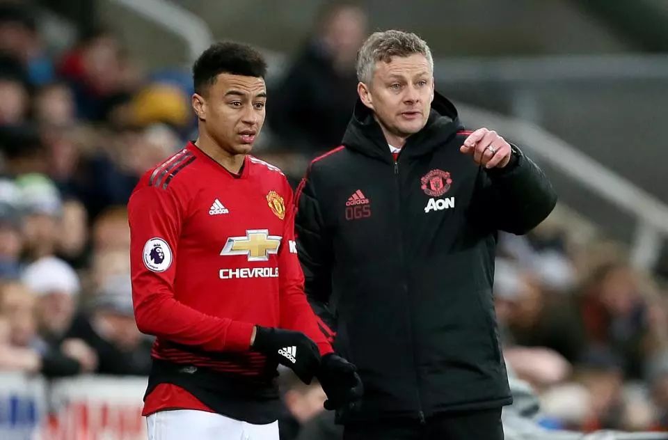 同时也将 同时也将